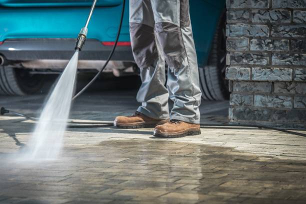 Best Sidewalk and Walkway Pressure Cleaning in Forrest, IL
