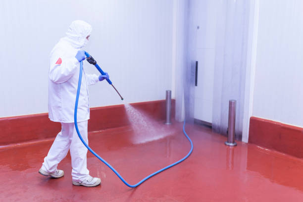 Best Rust and Stain Removal in Forrest, IL